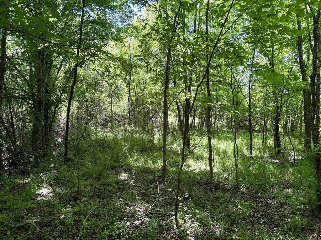 Picture 19