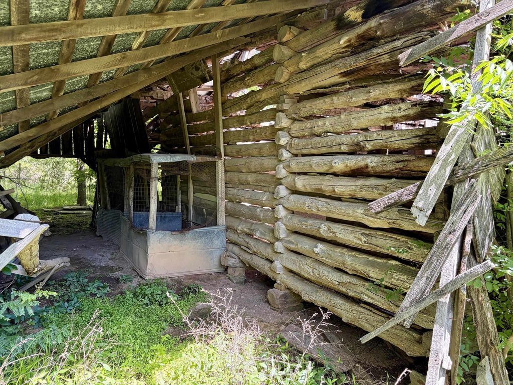 Picture 11
