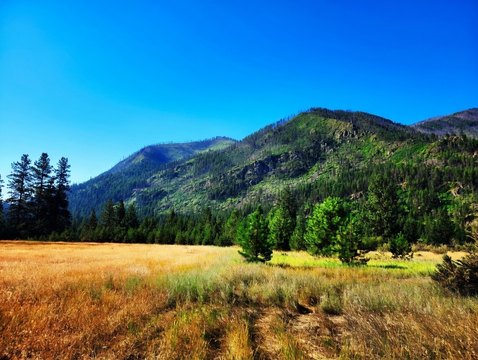Montana Land with Mountain Views