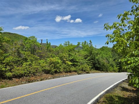 Lake Toxaway Homesite with Mountain View