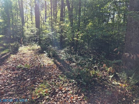 Wooded Lot in New Upton