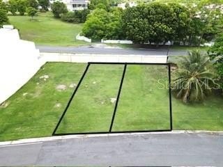 Picture 4