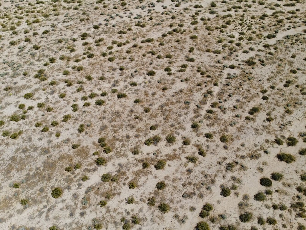 Picture 22