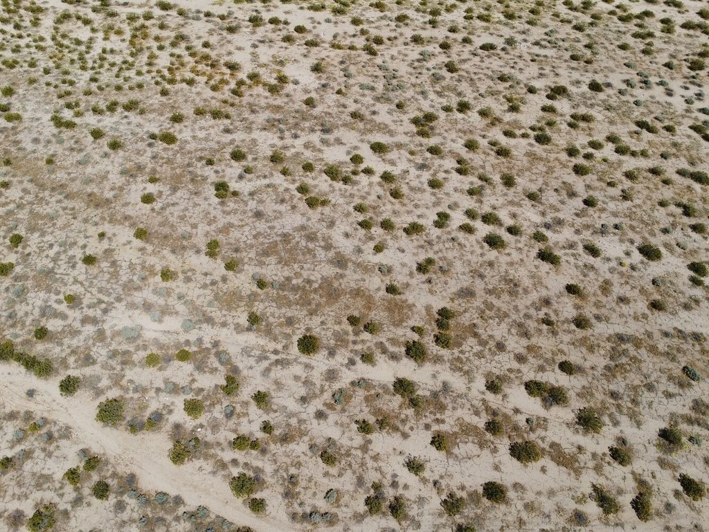 Picture 23
