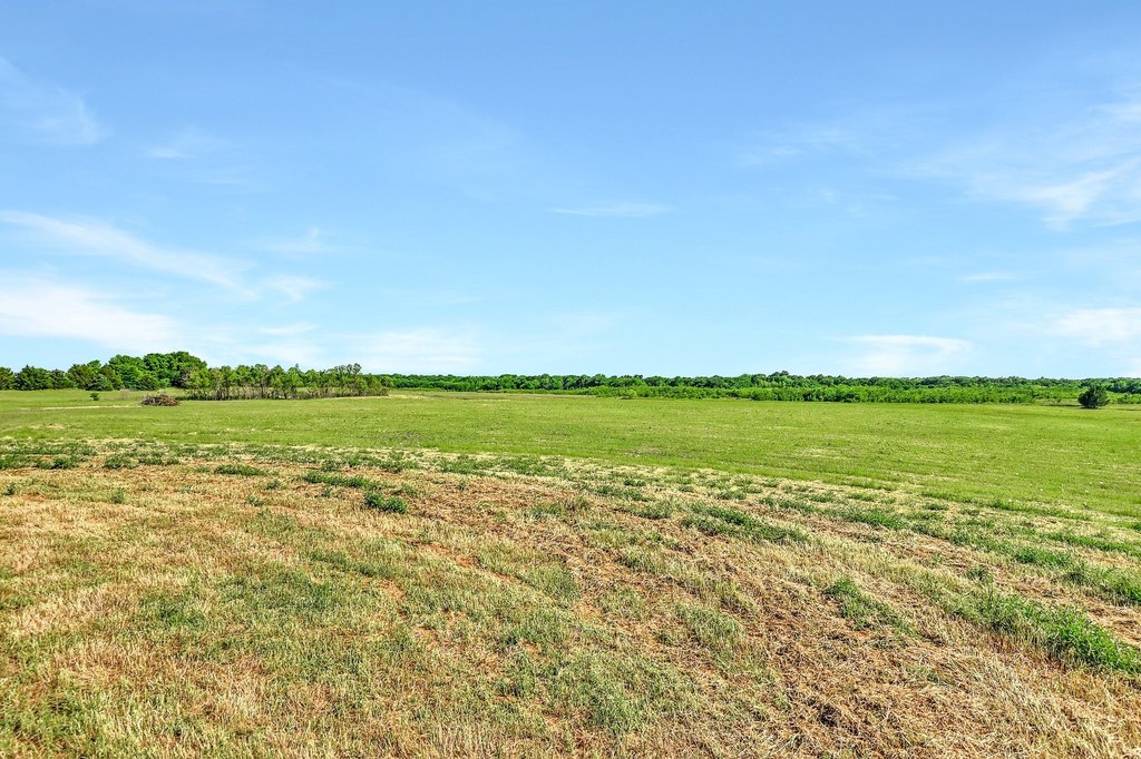 Picture 24