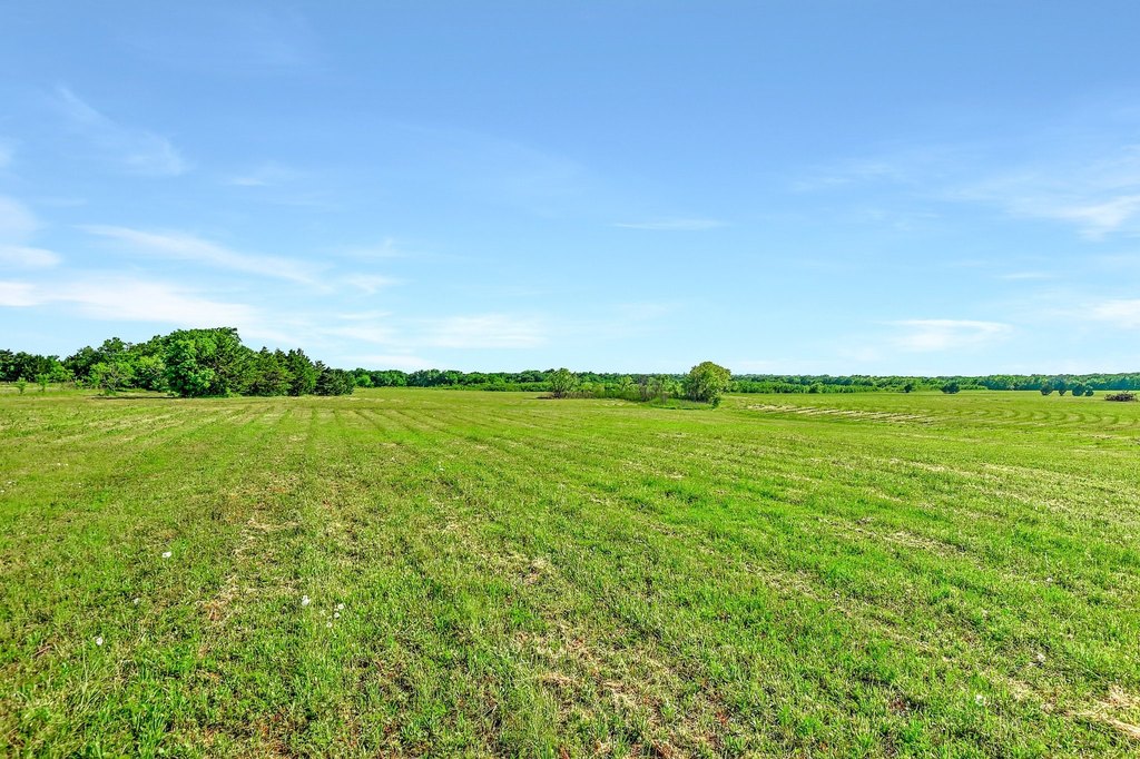 Picture 19