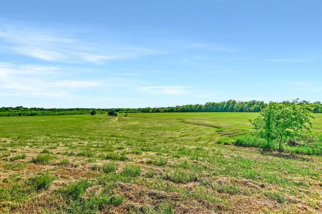 Picture 23