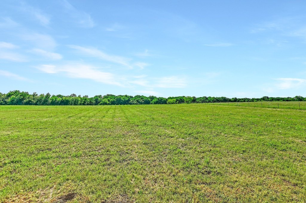 Picture 20