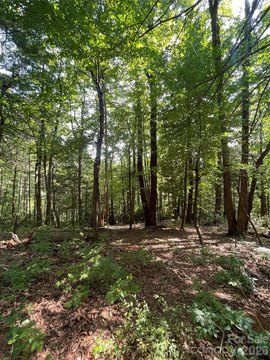Land, Flat Rock, NC
