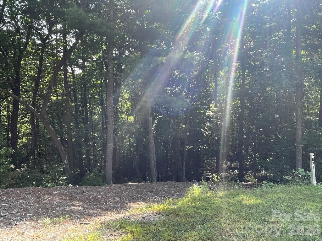 Picture 28
