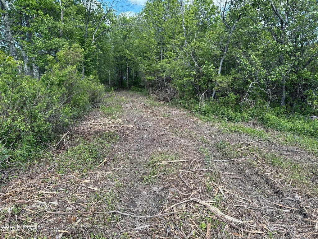 Picture 12