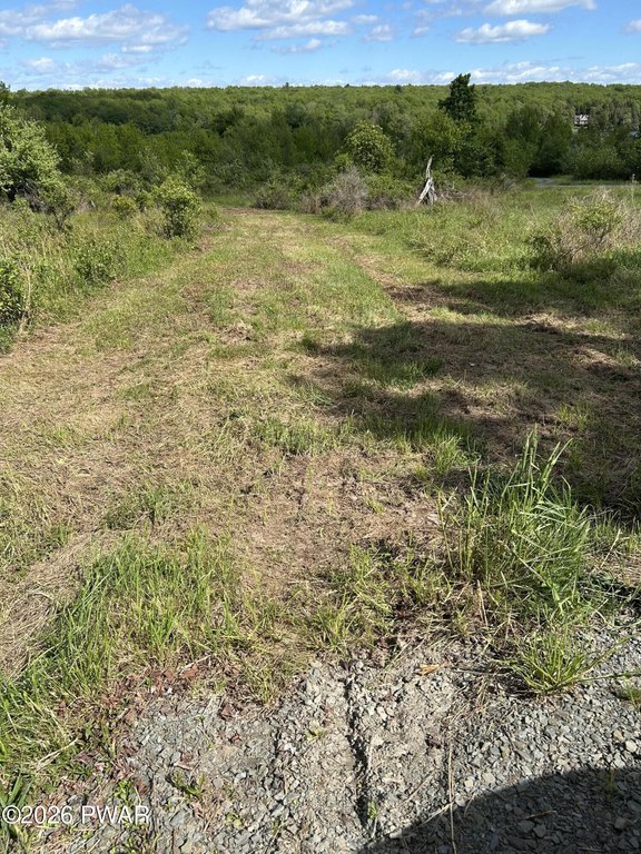 Picture 10