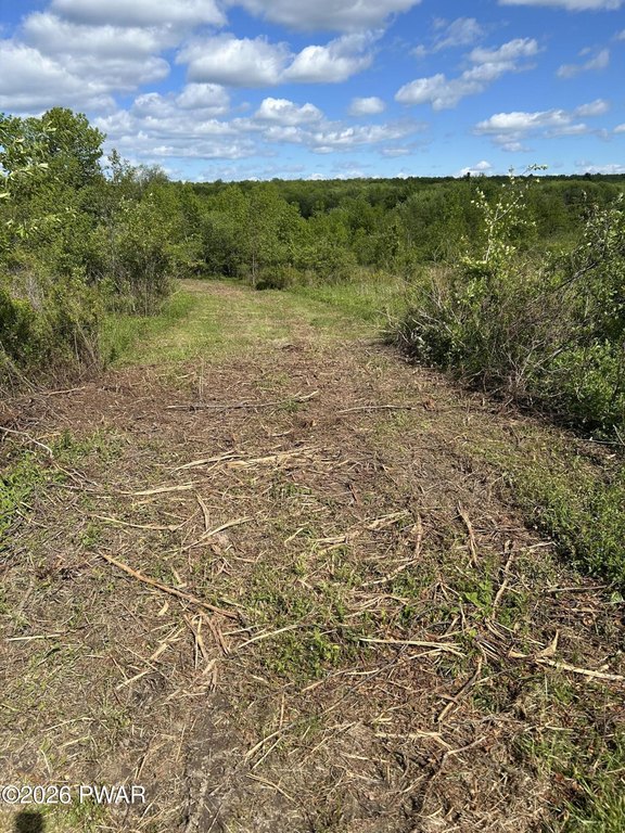Picture 11