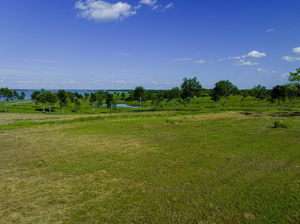 Picture 12