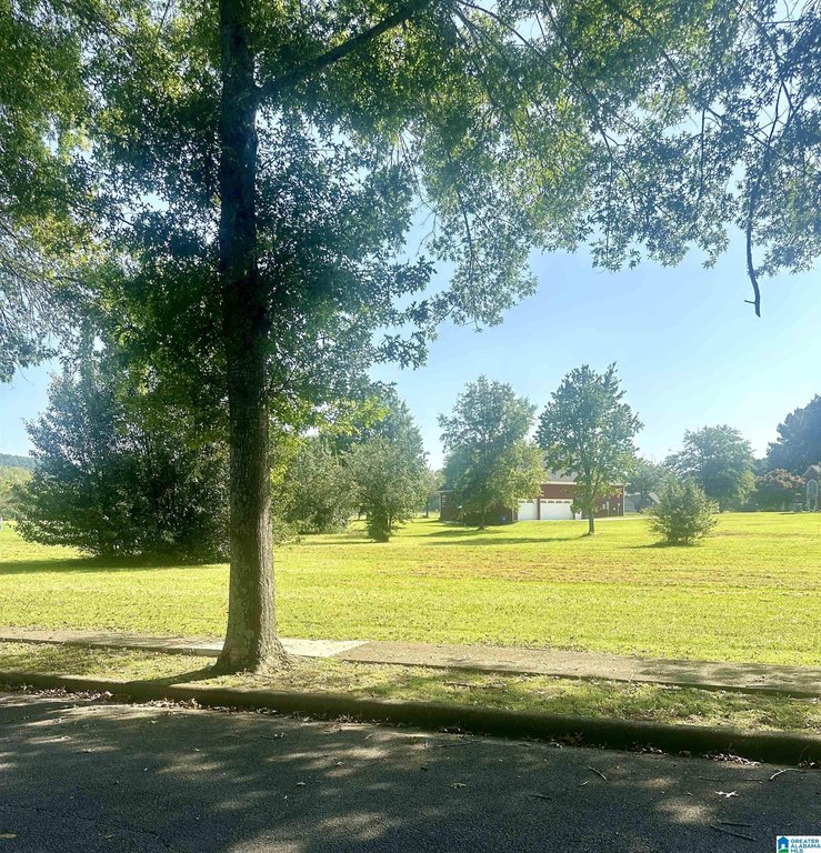 Picture 3