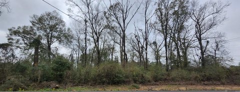 Land, Baton Rouge, LA
