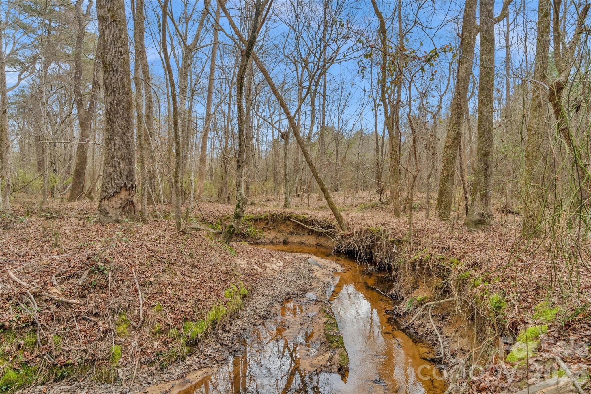 10 Acres in Heath Springs