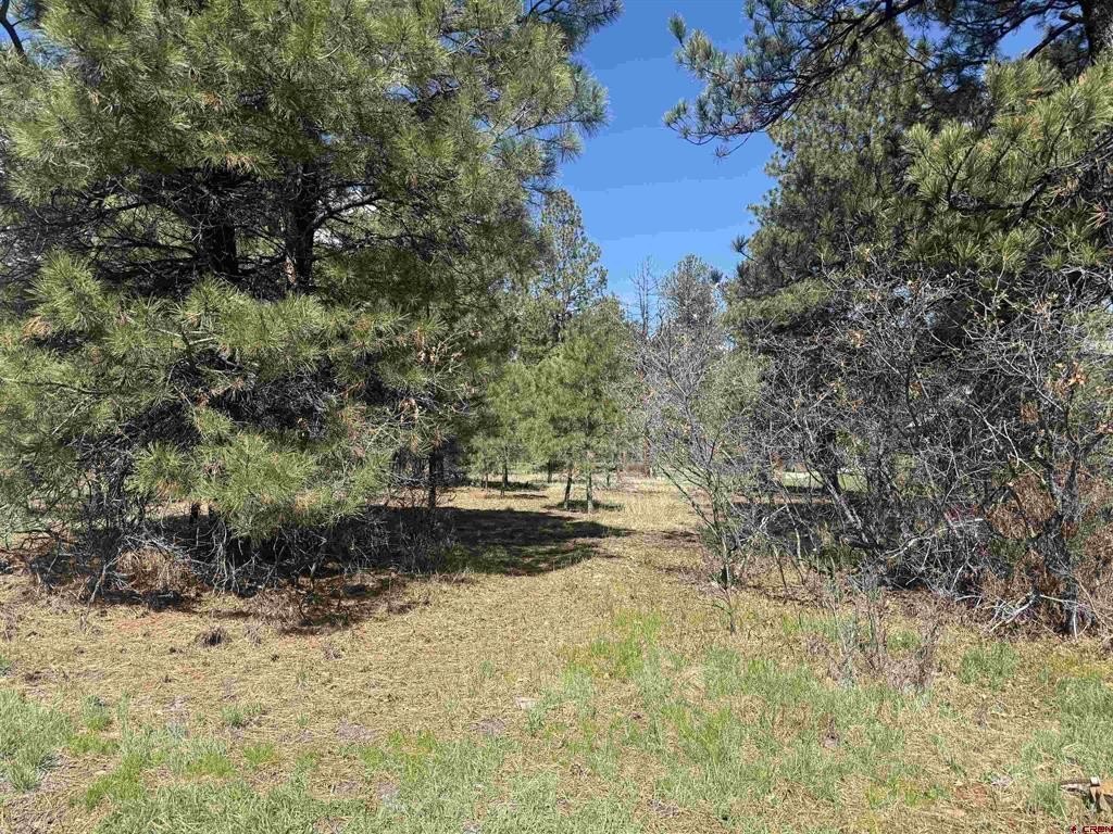 Land in Pagosa Springs, CO