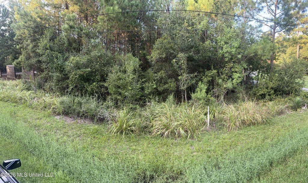 Picture 2