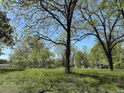 Laceys Spring Commercial Land