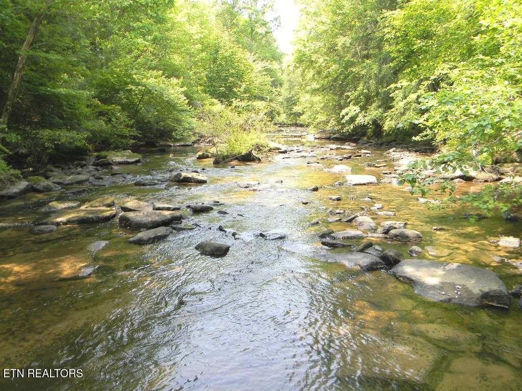 Picture 21