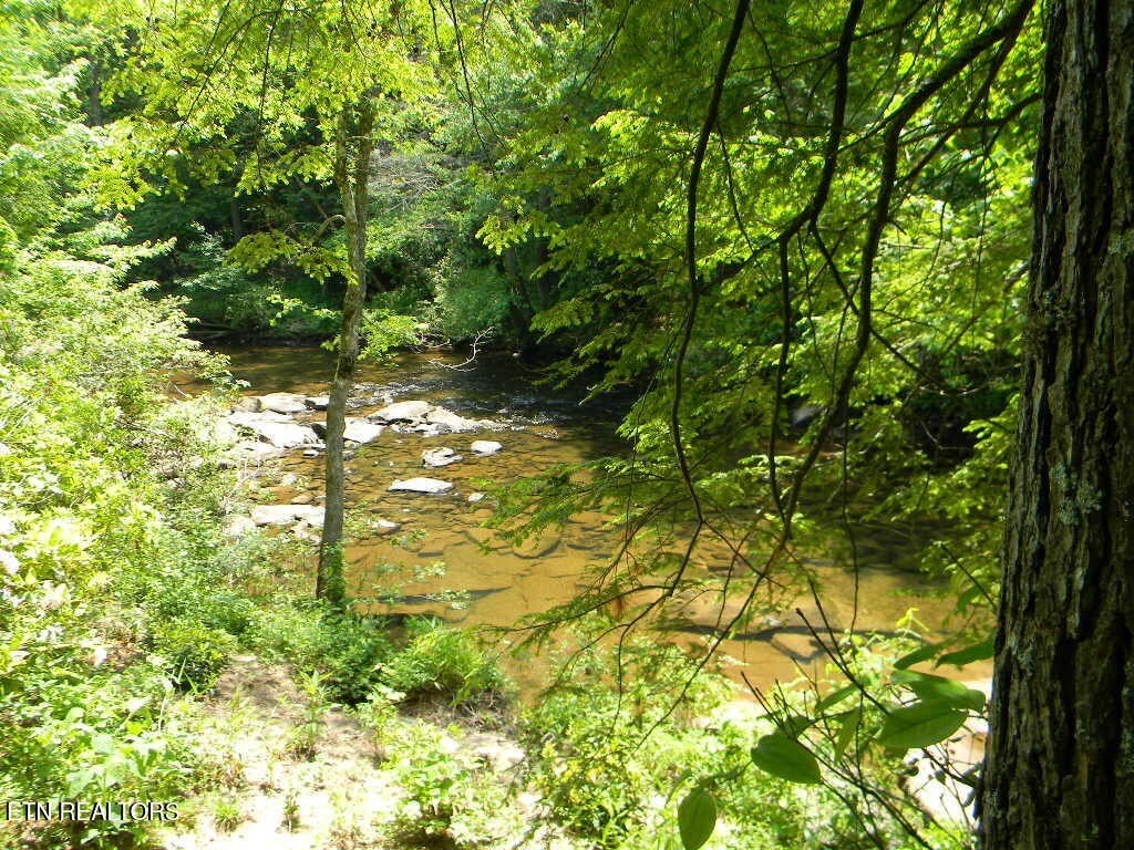Picture 19