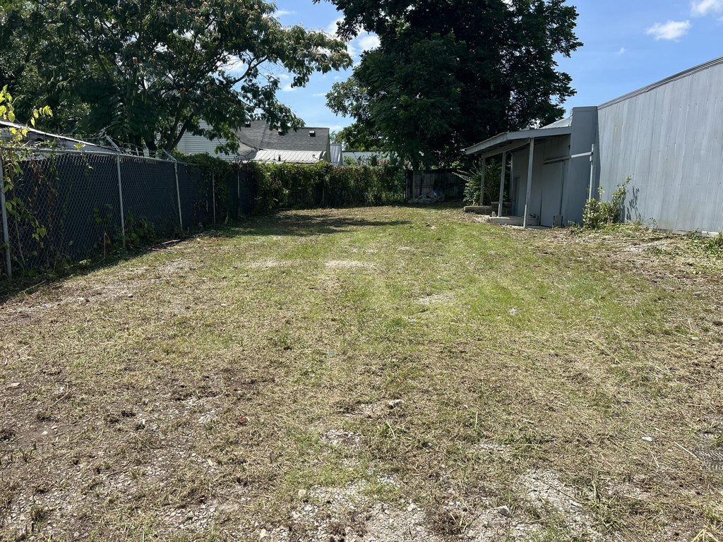Picture 5