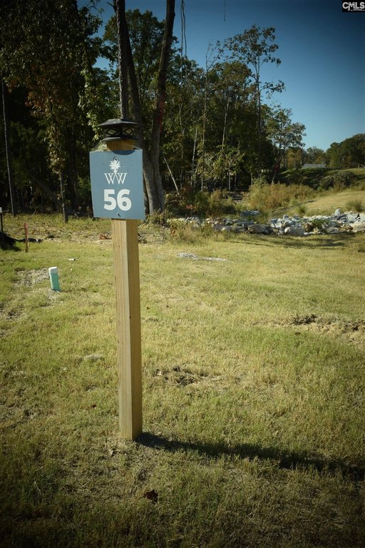 Picture 8