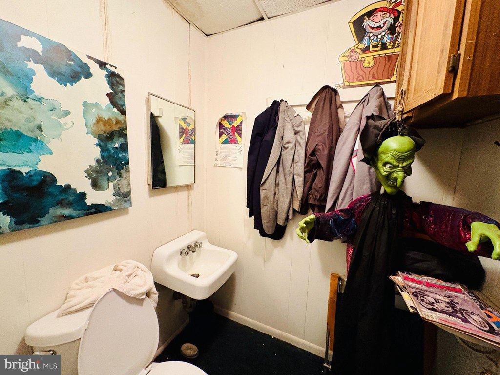 Picture 28