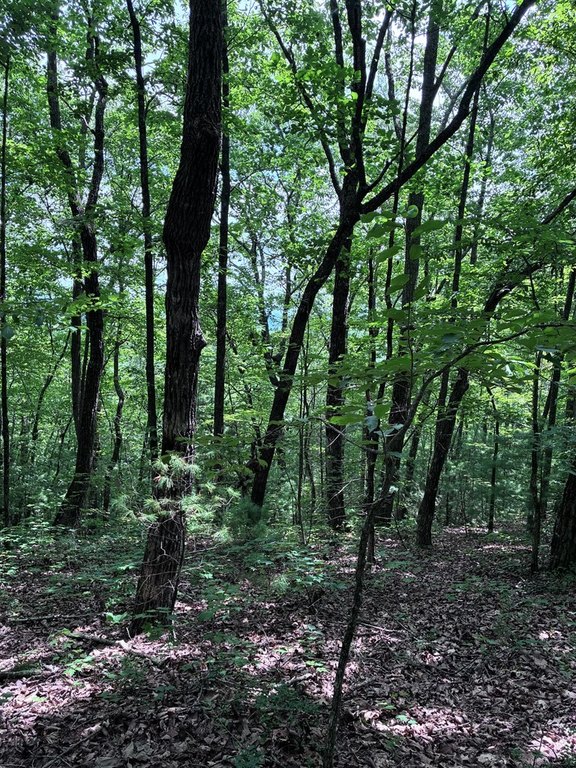 Picture 9