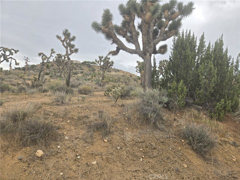 Residential Lot in Yucca Valley