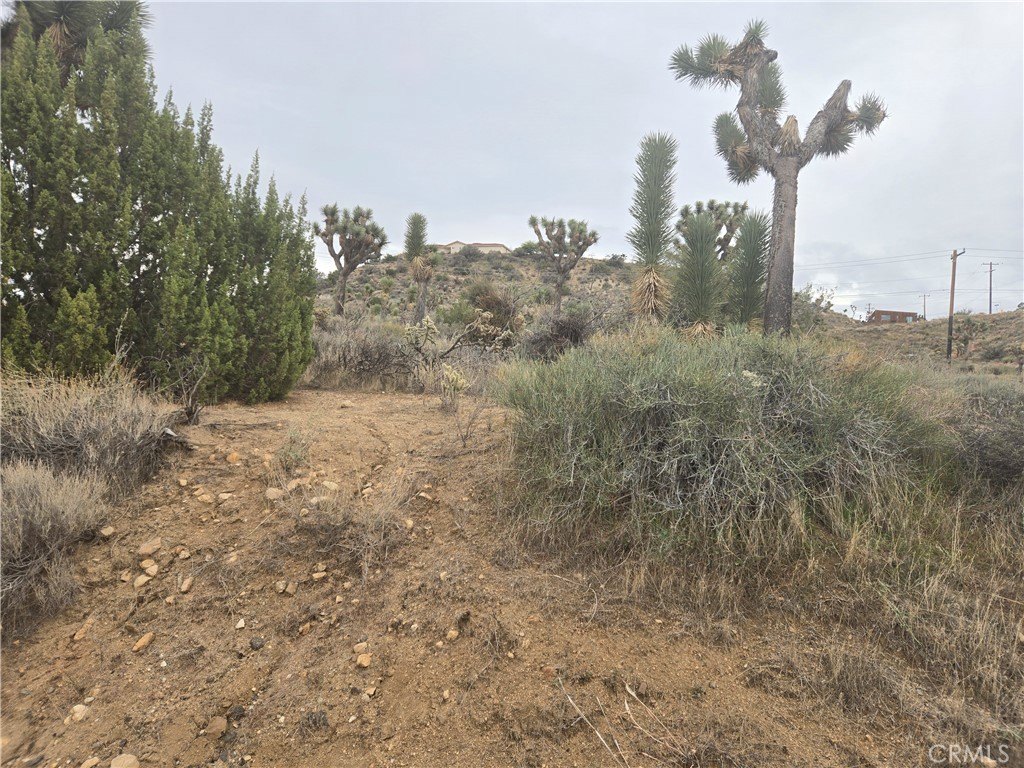 Picture 2