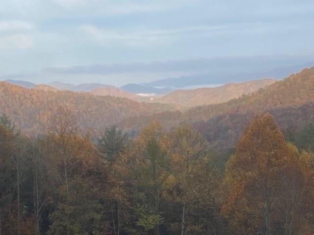 Land with Mountain Views