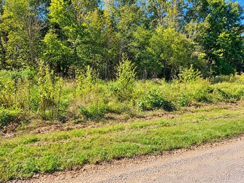 Land, Adamsville, TN