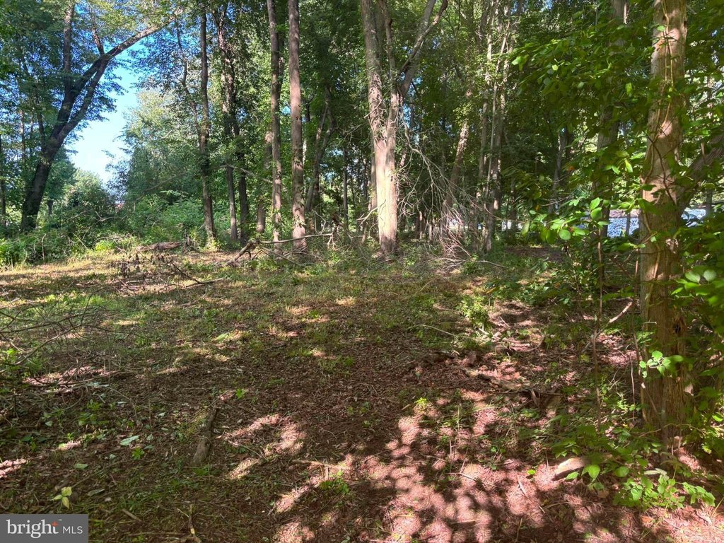 Picture 17