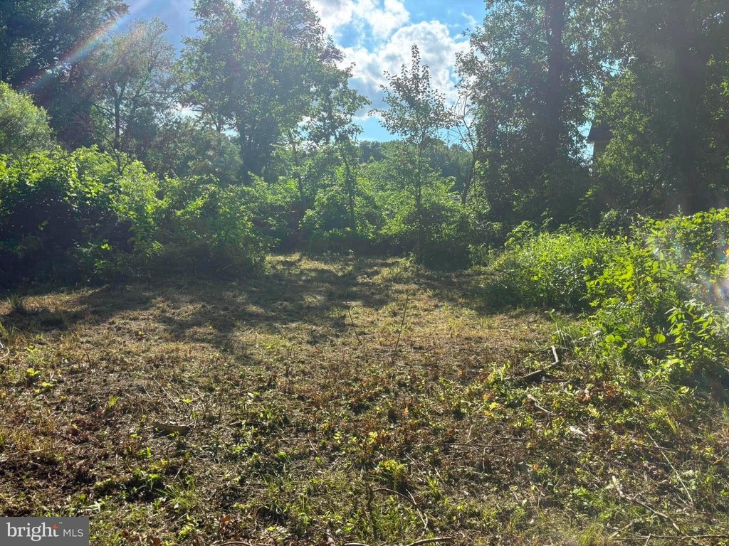 Picture 13