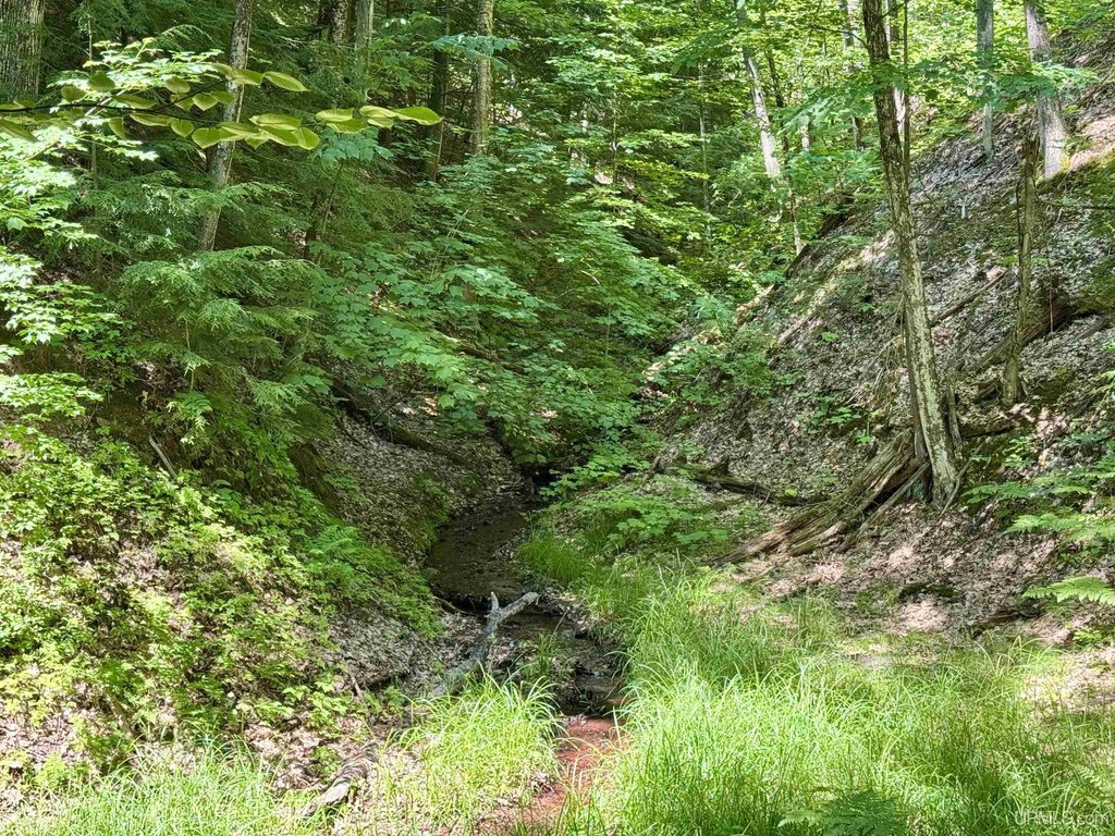 Picture 36