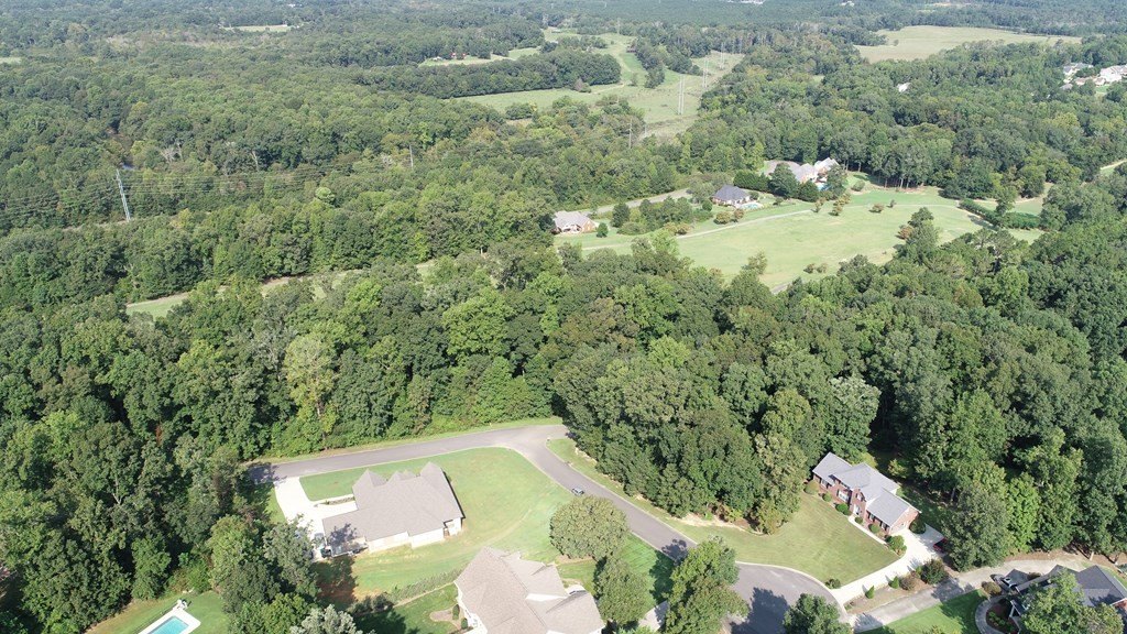 Picture 7