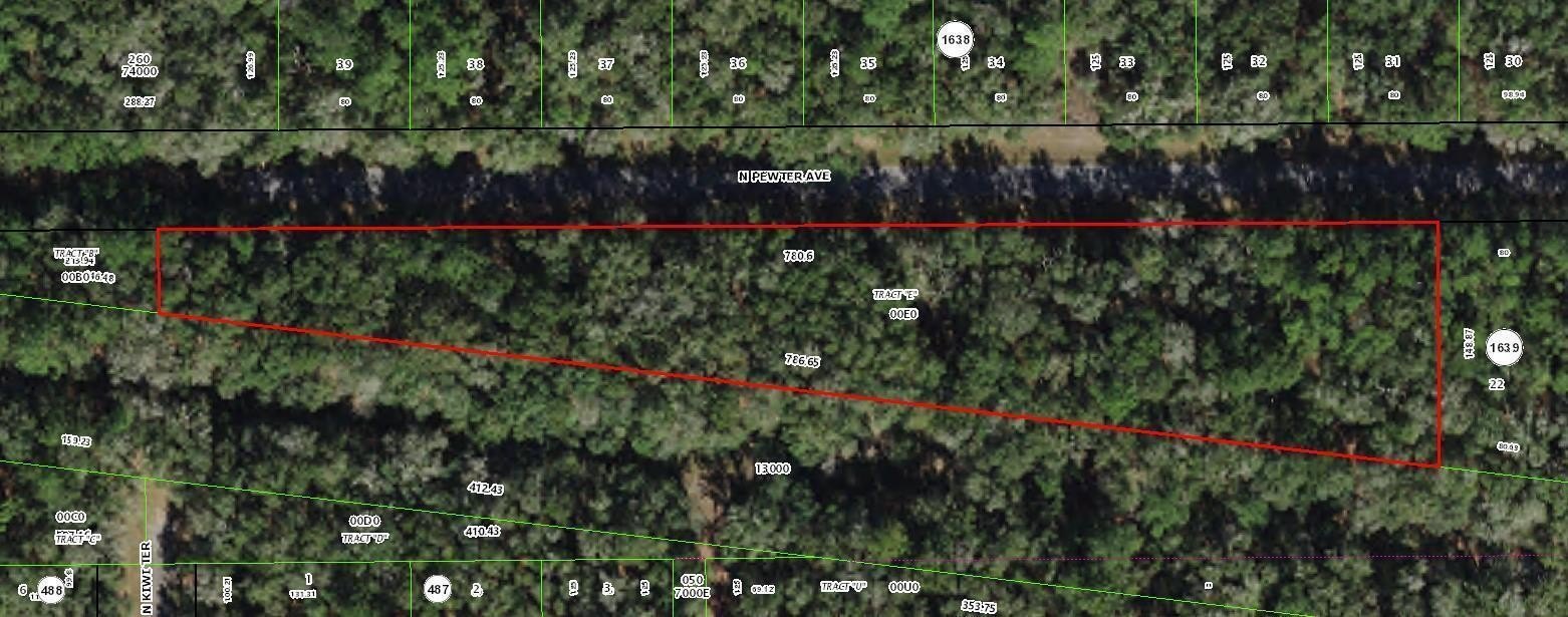 Citrus Springs Development Land