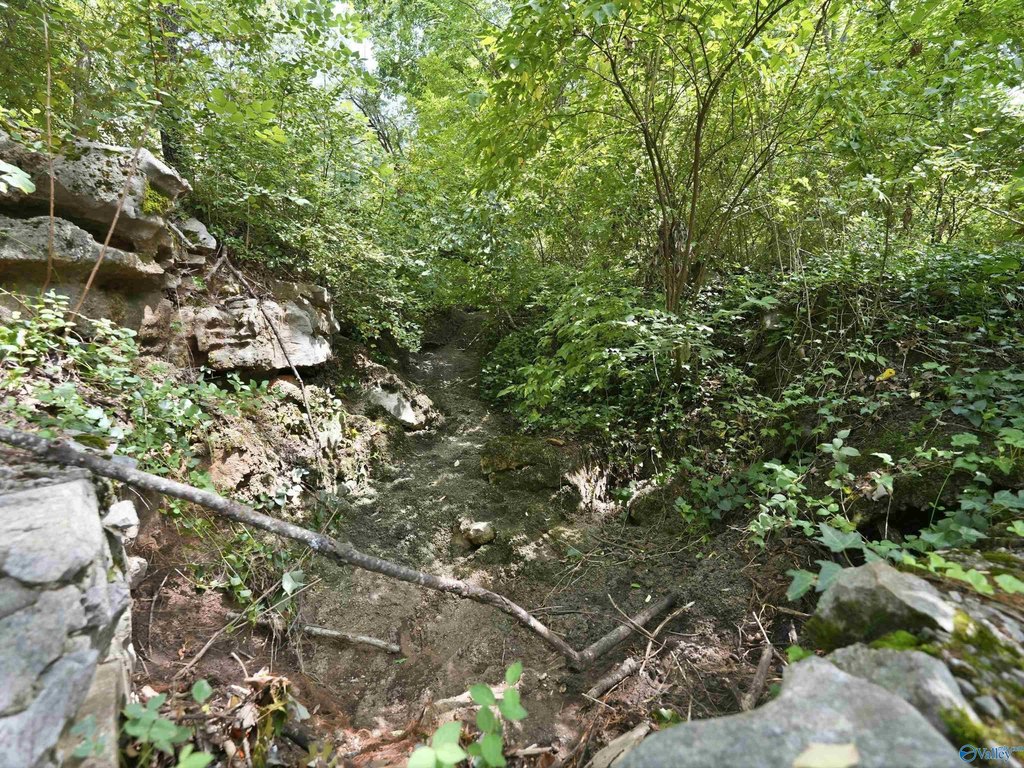 Picture 8