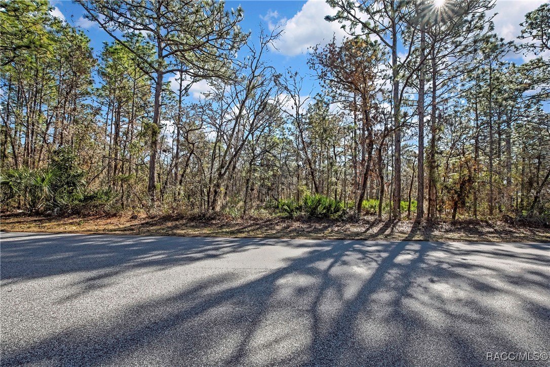 Residential Land in Sugarmill Woods