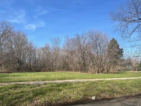 Detroit Land Opportunity Near Downtown