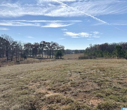 Residential Acreage with Homesite