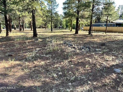 Pinetop Lakes Equestrian Land
