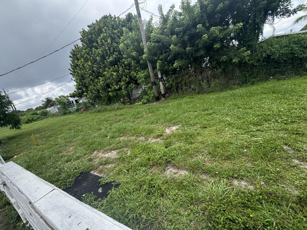 Picture 17