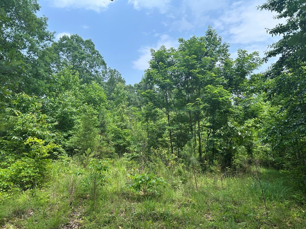 Picture 14