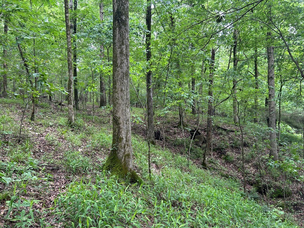 Picture 16