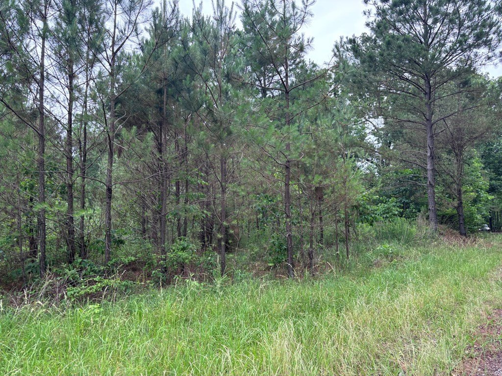 Picture 7