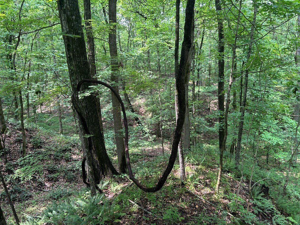 Picture 19
