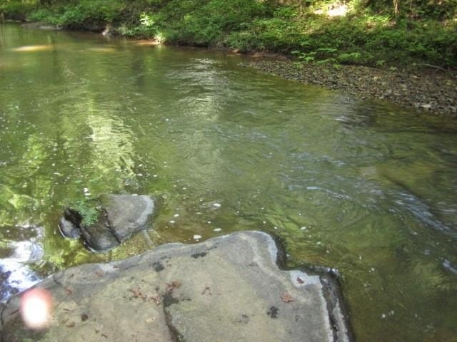 Picture 17